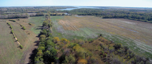 Photo from kite; fall color in trees next to harvested field, lake in background.