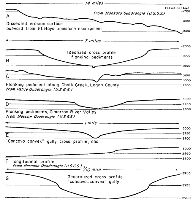 Seven example profiles.