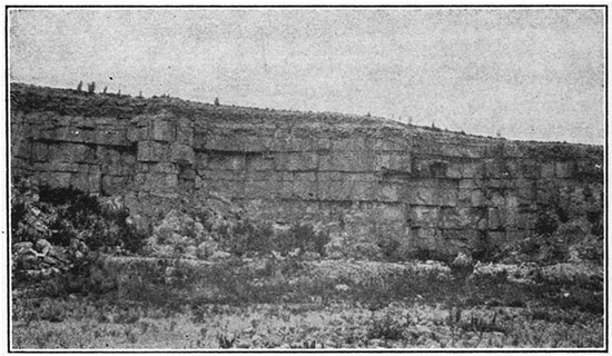 Black and white photo of Fort Hays limestone member of Niobrara formation.