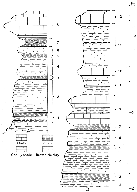 Sketches of Group A and Group B beds of Smoky Hill chalk member of Niobrara formation.