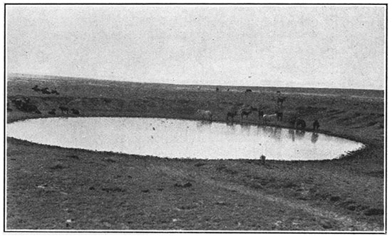 Black and white photo of water hole on the High Plains, Hamilton County.
