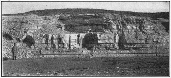 Black and white photo of Fort Hays limestone member of the Niobrara formation.