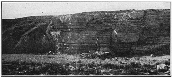 Black and white photo of Fort Hays limestone member of the Niobrara formation as well as Codell sandstone bed of the Blue Hill shale member of the Carlile shale.