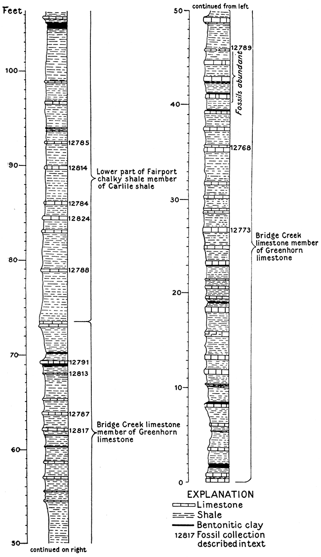 Section of the lower part of the Fairport member and the Bridge Creek member of the Greenhorn limestone.