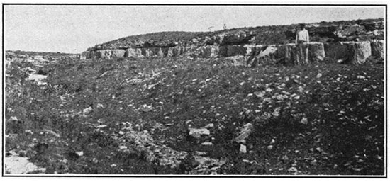 Black and white photo of cross-bedded sandstone interfingering with shale and overlying massive sandstone bed.