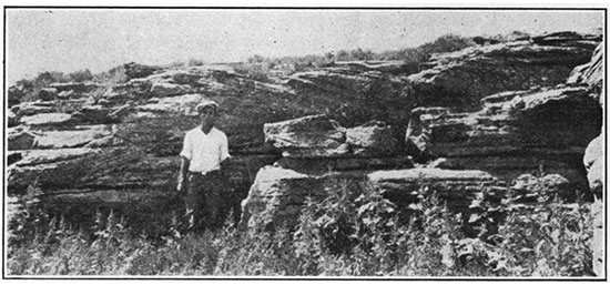 Black and white photo of cross-bedding in the upper part of the Dakota sandstone.