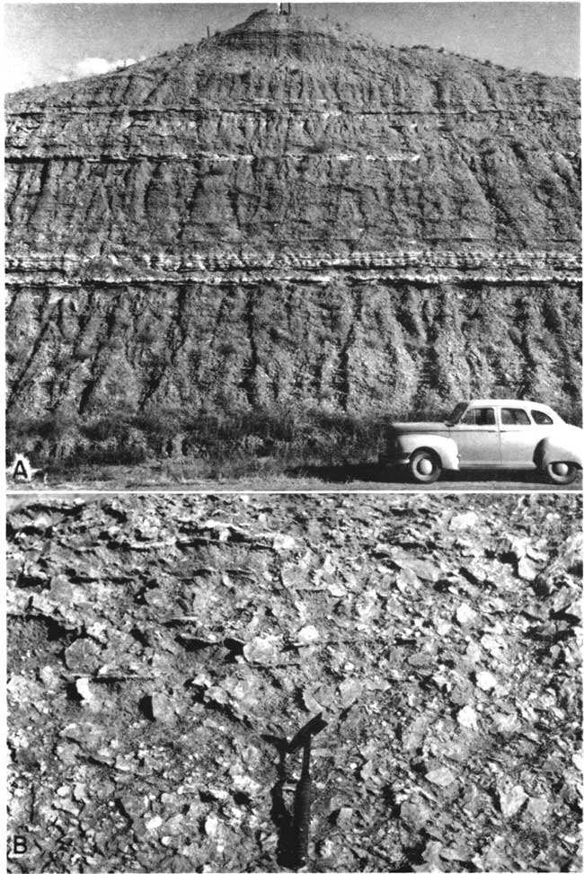 two black and white photos; road cut 20-25 feet high, car parked adjacent, several strong horizontal beds; closeup with rock hammer for scale.
