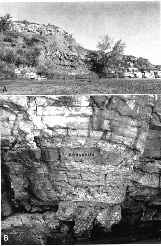 two black and white photos; hill next to small creek, small trees with no leaves; closeup of massive beds next to stream.