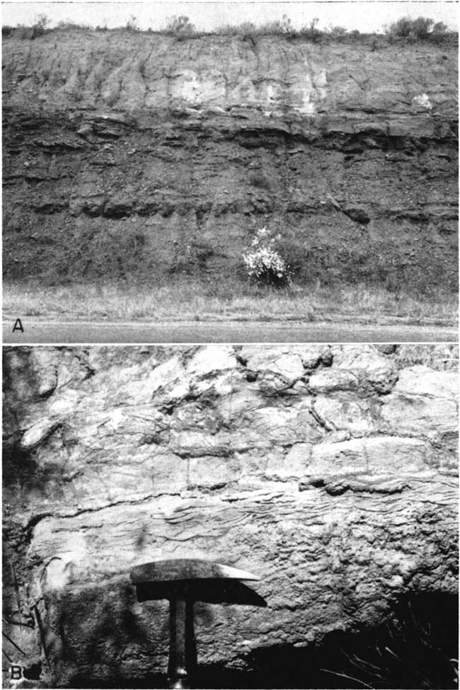 two black and white photos; vertical roadcut, looks to be 12-15 feet high; closeup of dolomite, rock hammer for scale