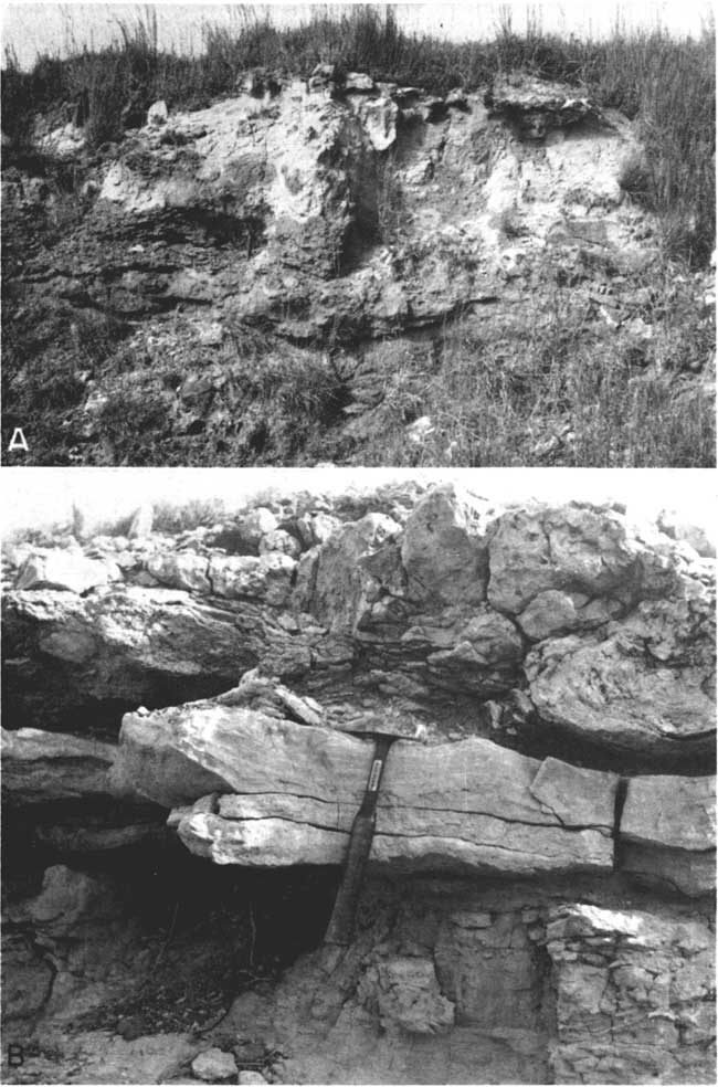 two black and white photos; grass covered outcrop of eroding beds, more resistant at base; resistant dolomite bed about 8 inches thick