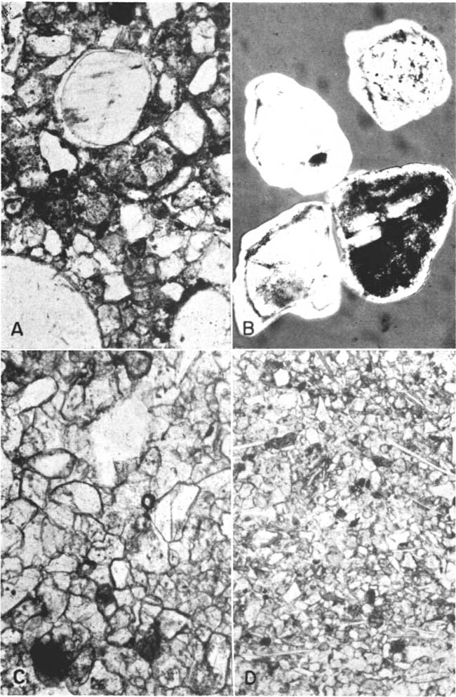 Four photomicrographs