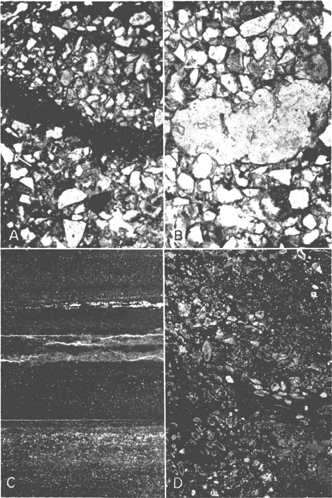 Four photomicrographs