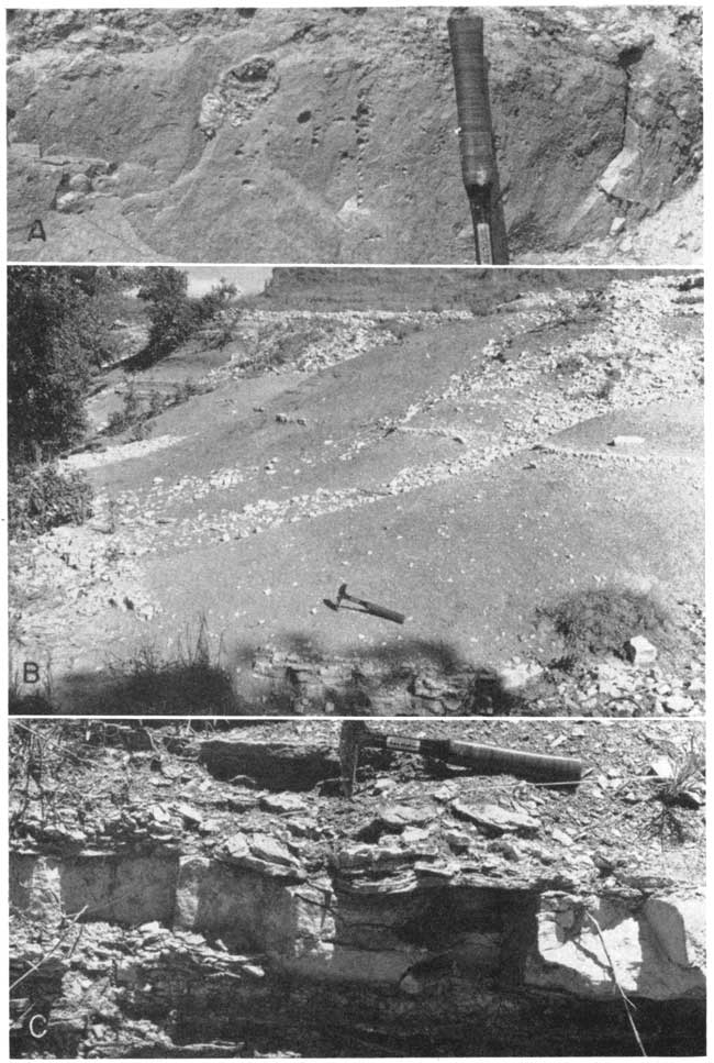 three black and white photos; rock hamer for scale next to light gray rock; rock hammer for scale, gentle hillside; rock happer for scale, massive bed about .8 foot thick