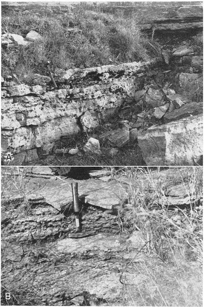 two black and white photos; weathered outcrop, about 2 feet high; thin bed above more granular facies.