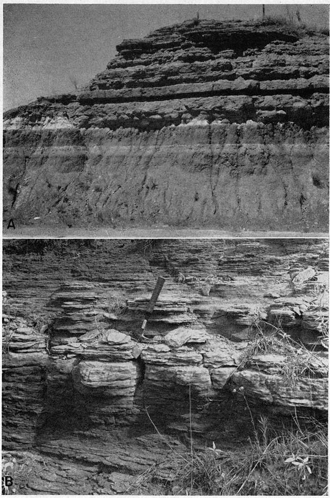 two black and white photos; roadcut about 20-feet high, alternating resistant beds and erodable beds; 2-3 foot bed, darker at bottom than top; fine horizontal bedding.