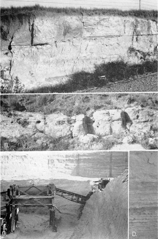 Four black and white photos; top is of vertical outcrop of Dellvale volcanic ash bed, middle Ash Hollw member; middle is of rounded boulders in outcrop of Rawlins volcanic ash bed; bottom two show mining operations in Norton Co. and of ripple marks in mine face.
