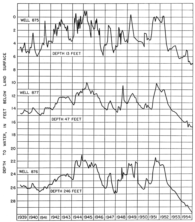 Hydrographs of three wells having different depths at the same location.