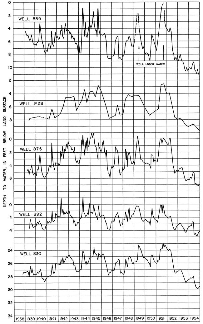 Hydrographs showing natural fluctuations of water levels in well-field.