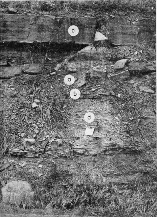Black and white photo of outcrop; resistant limestone at top, broken up shales below.