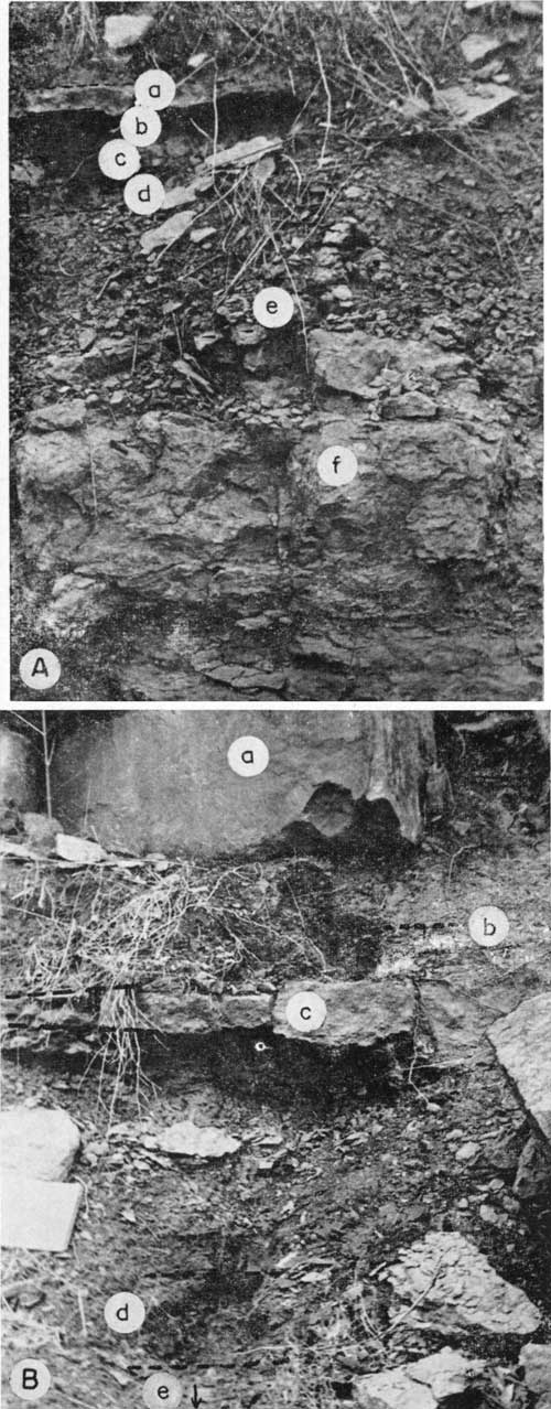 Black and white photos of outcrops; top shows a thin, resistant limestone separated from a lower limestone by shale, coal, and the underclay; bottom photo shows blocky limestone above thin, resistant limestone, then shale and coal below.