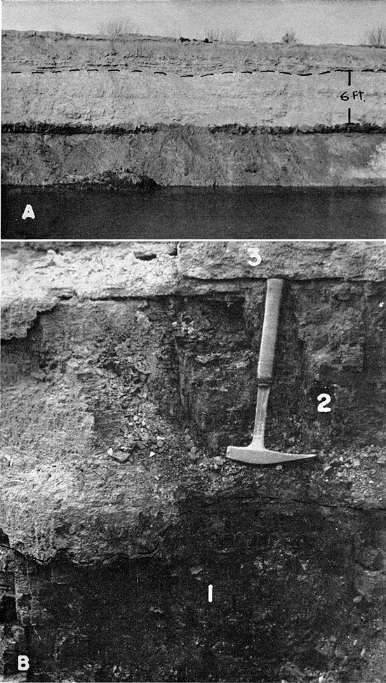 Two black and white photos; top shows Dry Wood coal and Bluejacket Ss; bottom shows Weir-Pitt and Tebo coals.