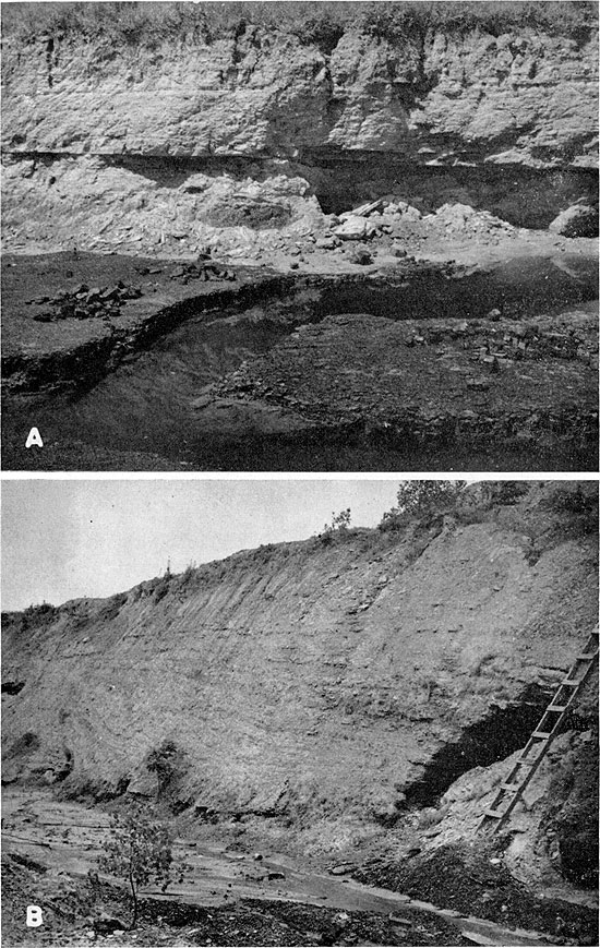 Two black and white photos; top shows Weir-Pitt coal and light colored sandstone; bottom shows Weir-Pitt and sandy shale of Tebo Fm.