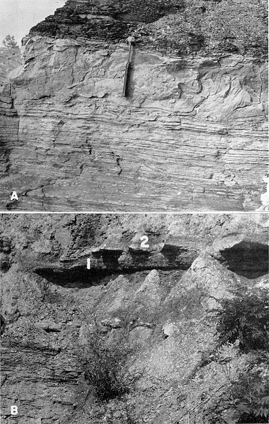 Two black and white photos; top shows thinly bedded sandstone above Tebo coal, a darker unnamed coal is above the SS; bottom shows Scammon coal and overlying limestone.