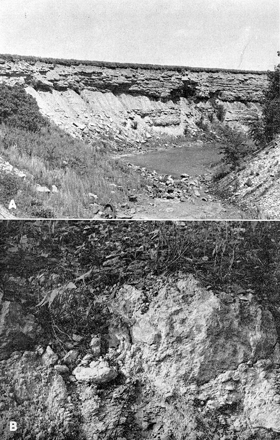 Two black and white photos; top shows Chelsea Ss in wall of strip mine; bottom shows Breezy Hill Ls with black shale above.