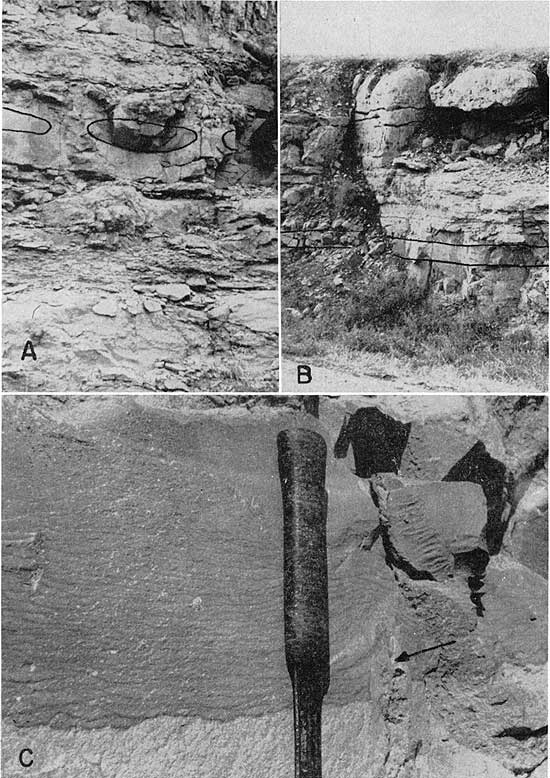 Three black and white photos showing closeups of chert exposures.