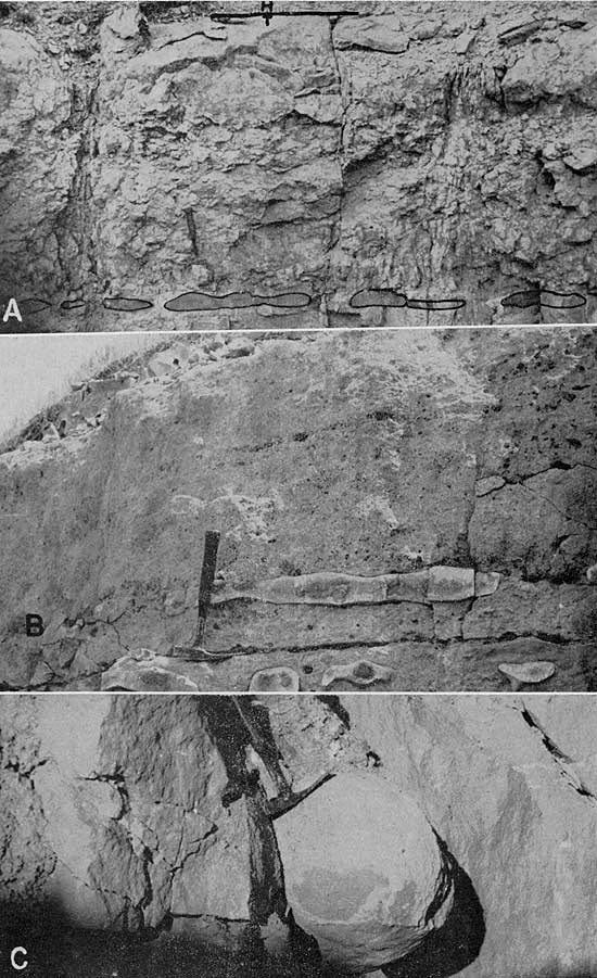 Three black and white photos showing closeups of chert exposures.