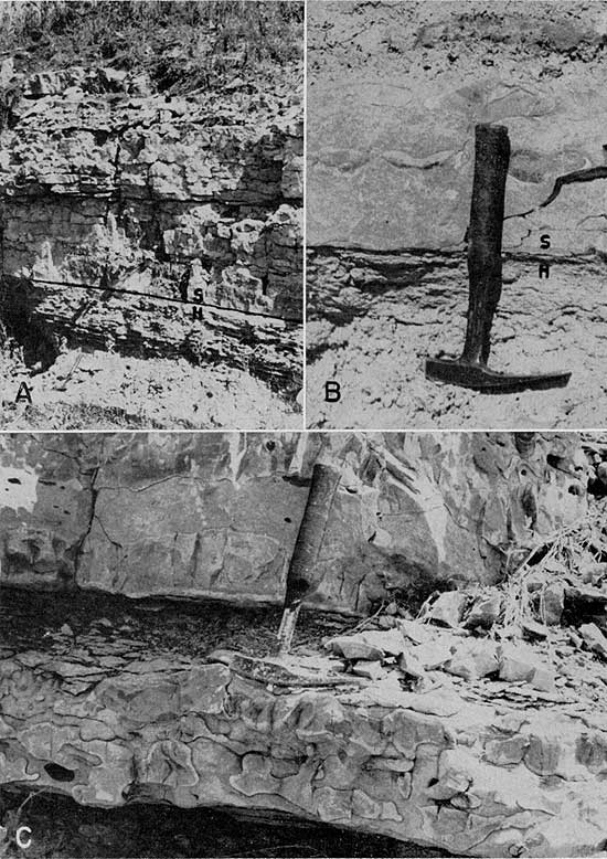 Three black and white photos showing Schroyer limestone exposures.