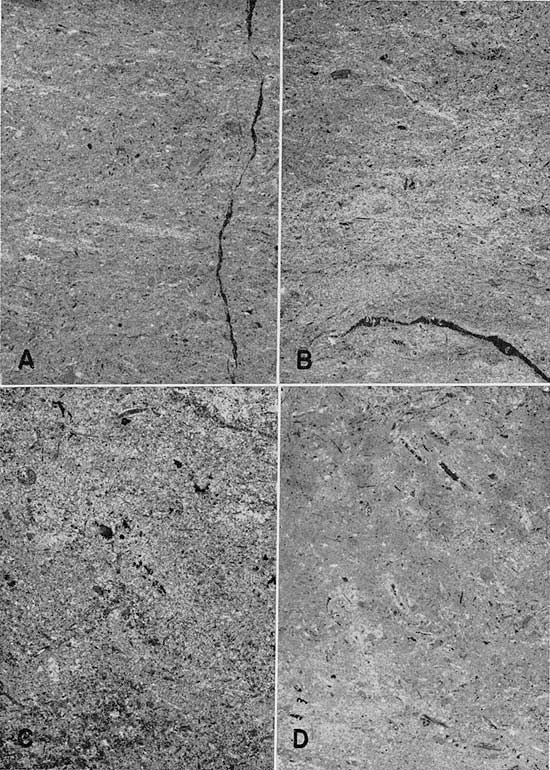 Four black and white photos showing samples in detail.