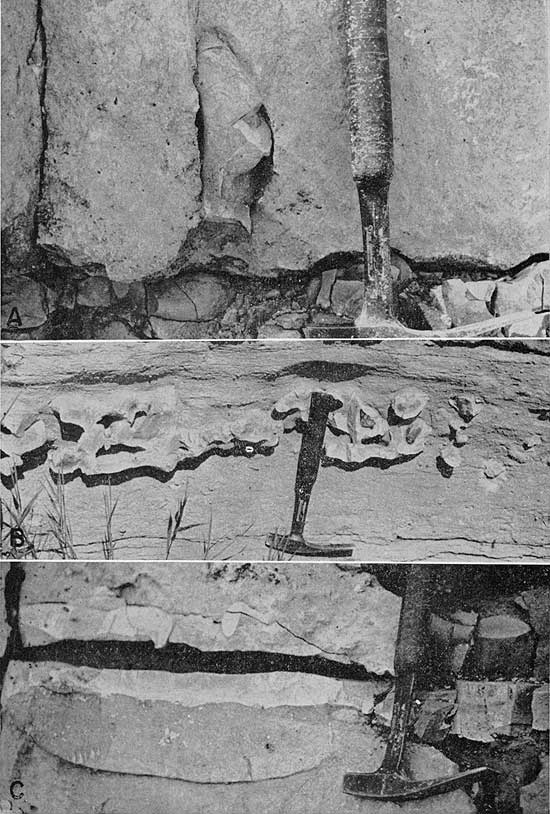 Three black and white photos showing closeups of outcrops.