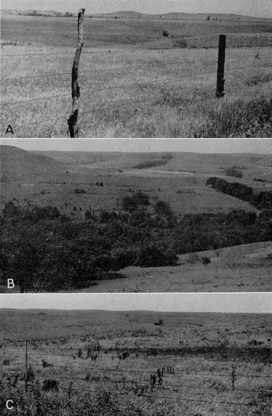 Three black and white photos showing gentle hills, grass covered; trees in creek valley.