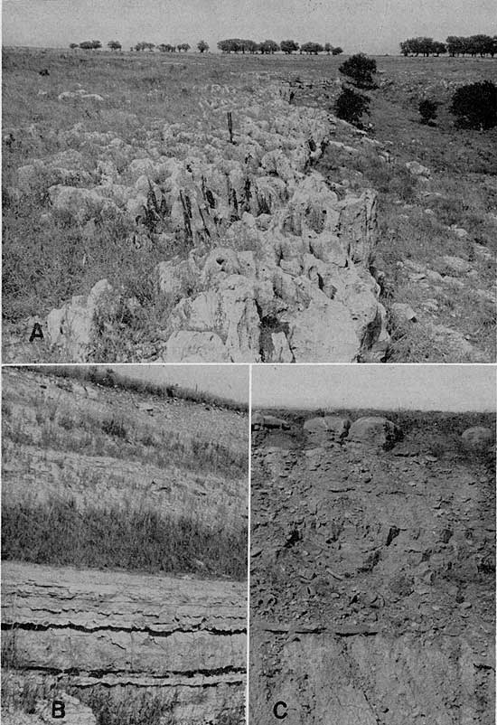 Three black and white photos showing closeups of Wreford outcrop types.