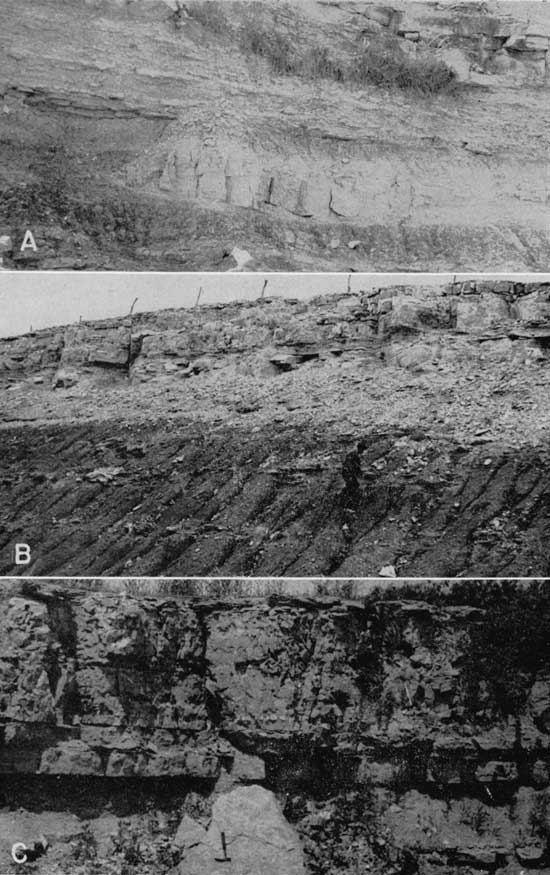 Three black and white photos showing shale exposures.