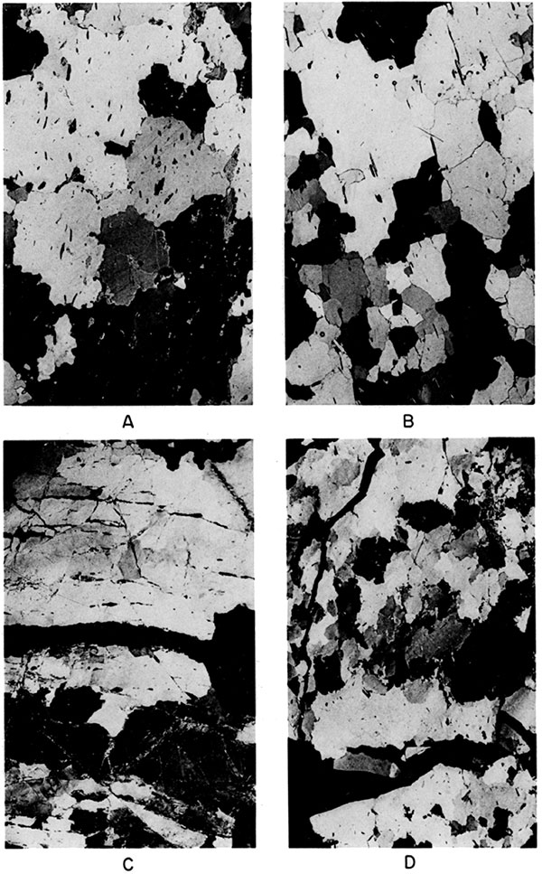 Black and white photos of quartzite, in thin section.