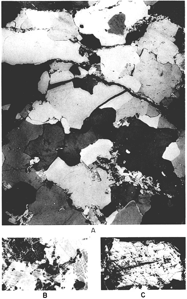 Black and white photos of rocks deformed during regional metamorphism, in thin section.
