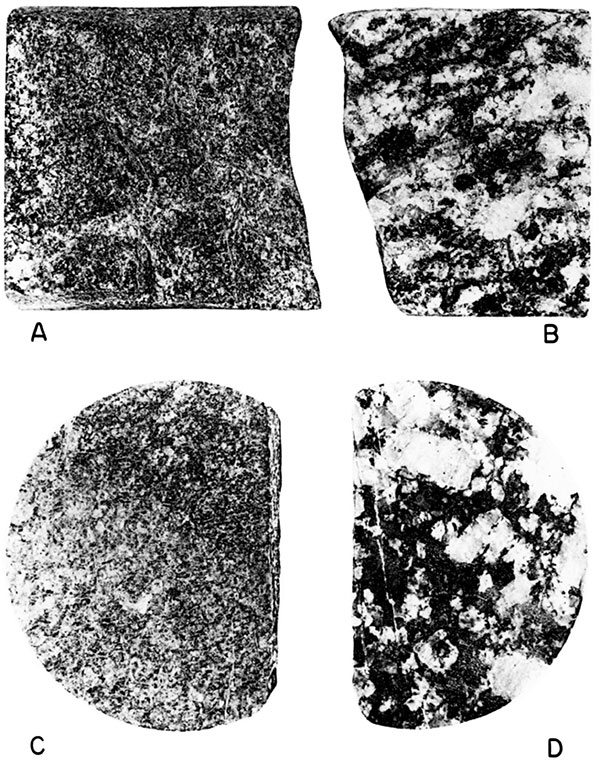 Black and white photos of cores of microgranite and earlier granitic gneiss.