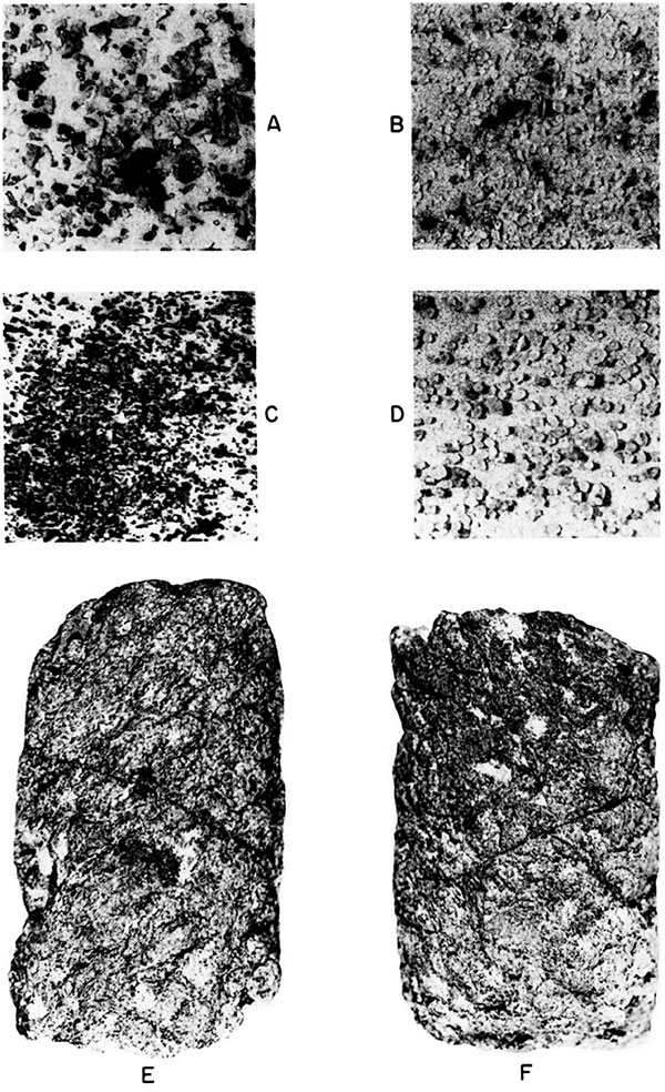 Black and white photos of typical Precambrian samples from Kansas wells.