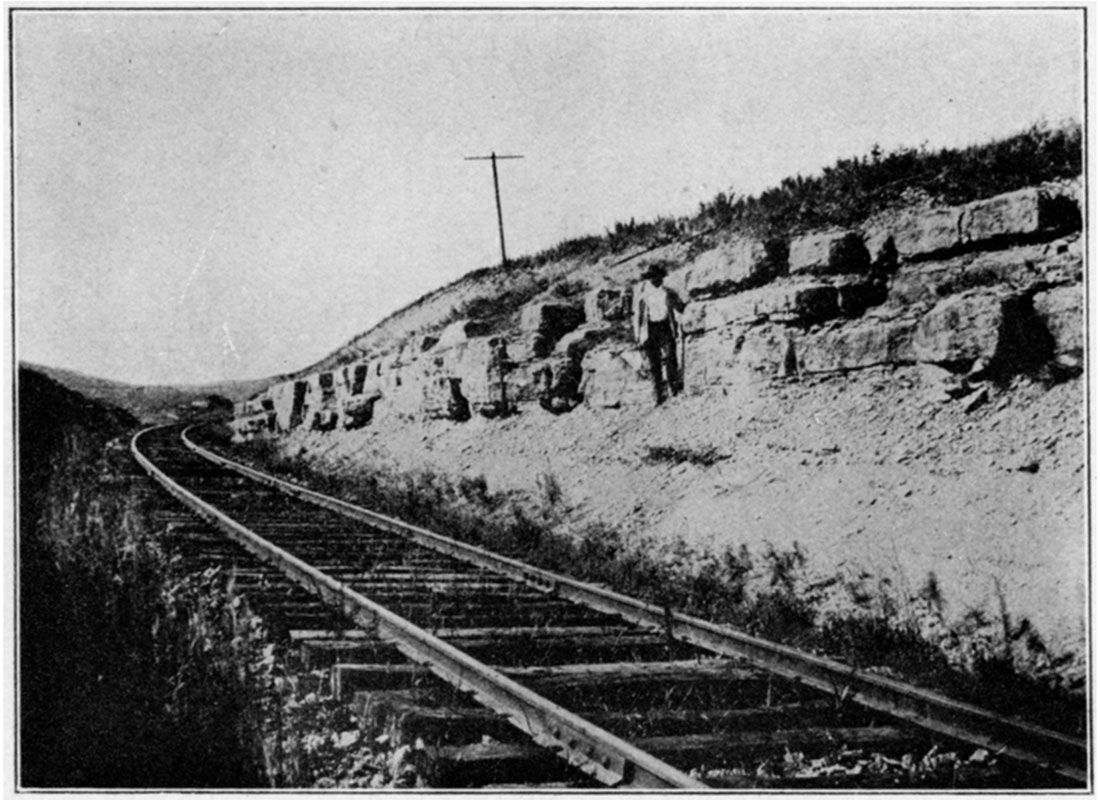 Black and white photo of exposure of limestone in railroad cut.