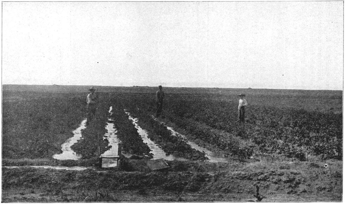 Black and white photo of irrigation in Kansas.