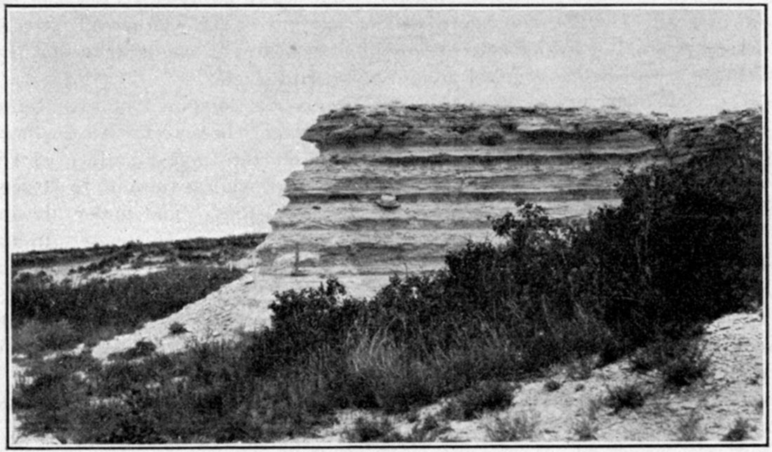 Black and white photo of Niobrara chalk.