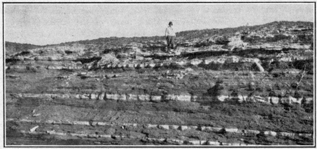 Black and white photo of Bridge Creek limestone member of the Greenhorn limestone, east bank of Bridge creek, Hamilton county.