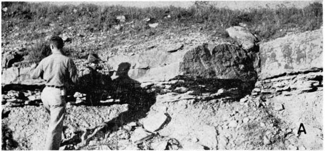 Black and white photo of man stanging next to blocky, resistant bed, underlain by shaly bed.