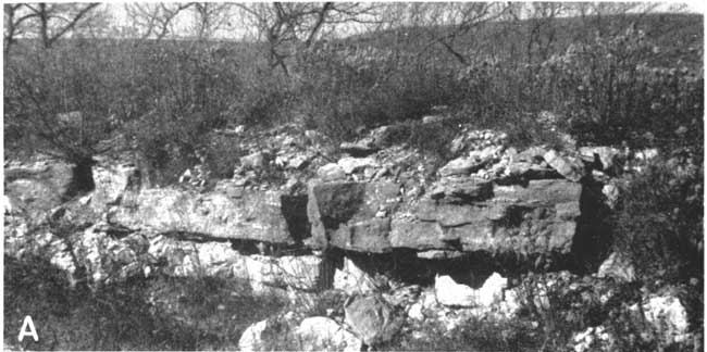 Black and white photo of Burr Limestone.