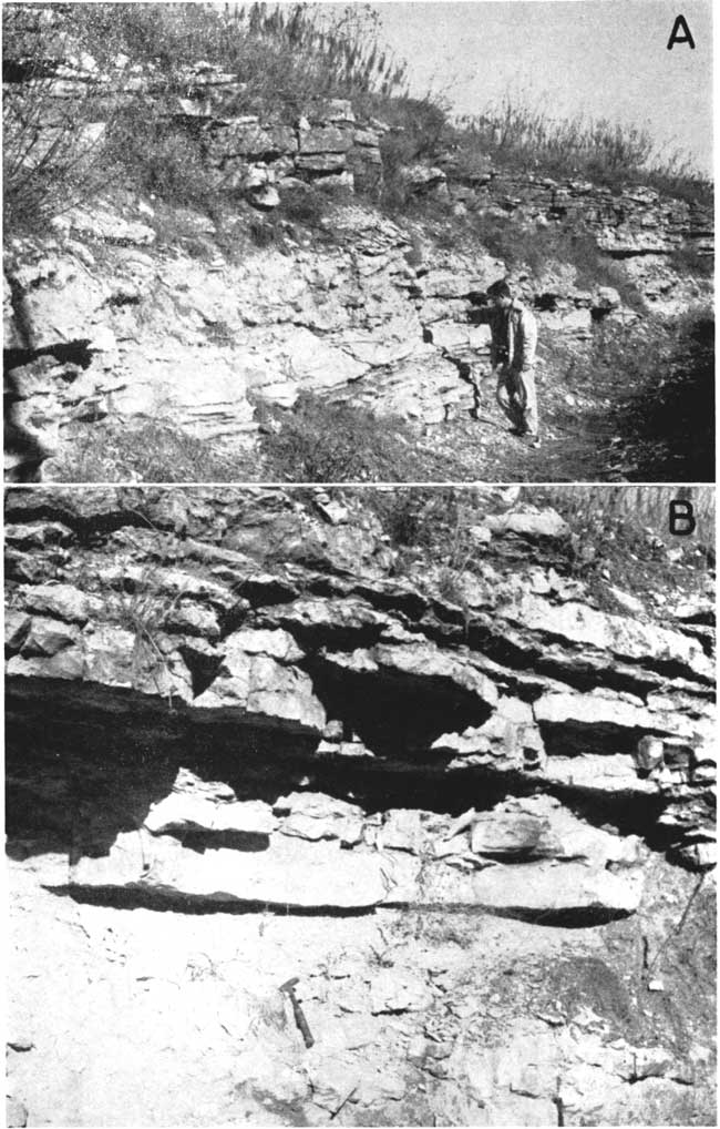 Two black and white photos of Neva LS; top photo has man standing next to 5-6 foot outcrop; second photo is closeup with rock hammer for scale.