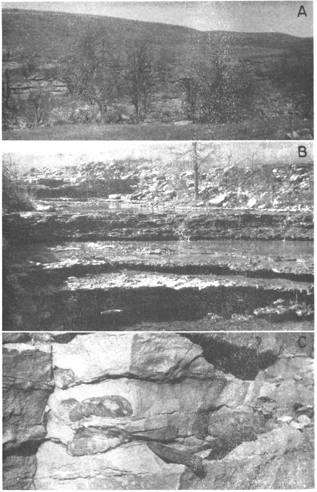 Three black and white photos; top os of Grenola on hillside, trees in foreground; middle is of bedding of Neva making small waterfall; third is closeup of dark nodules in light matrix.