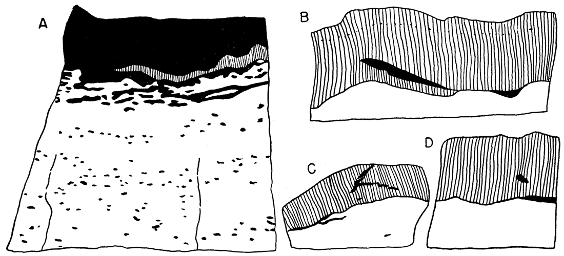 Sketches showing relation of gypsum to other rocks in the Easly Creek shale.