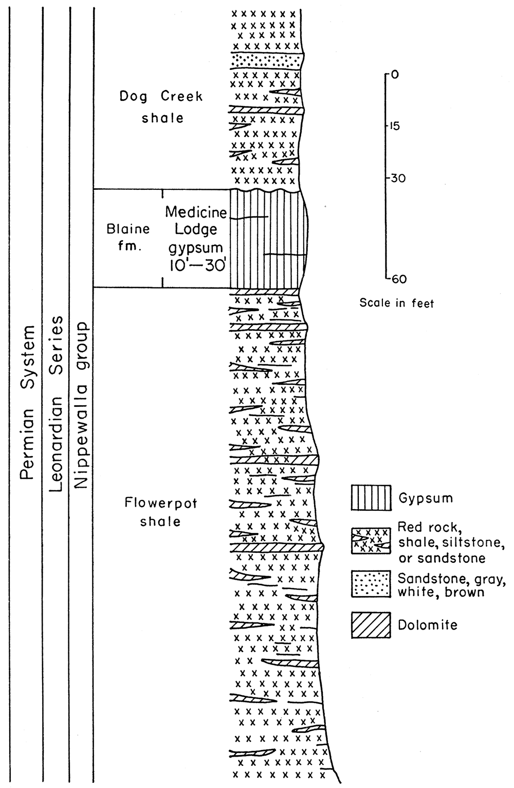 Stratigraphic section of Medicine Lodge gypsum and adjacent beds, near Pioneer mine, Sun City. 